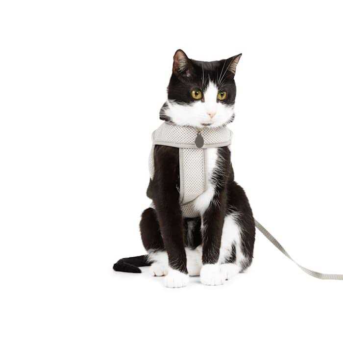 Mesh Safety Gray Cat Harness S228040