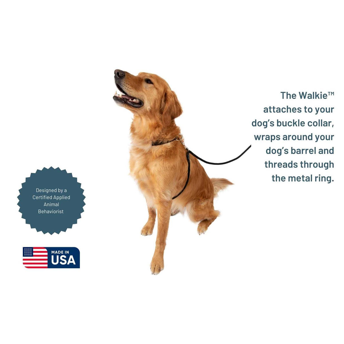 No Pull Dog Leash N6538