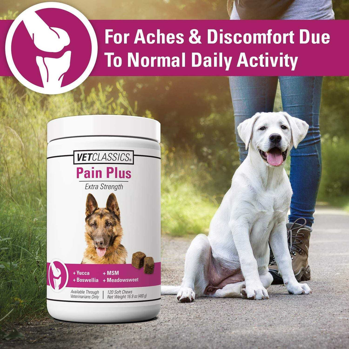 Pain Plus for Dogs E266570