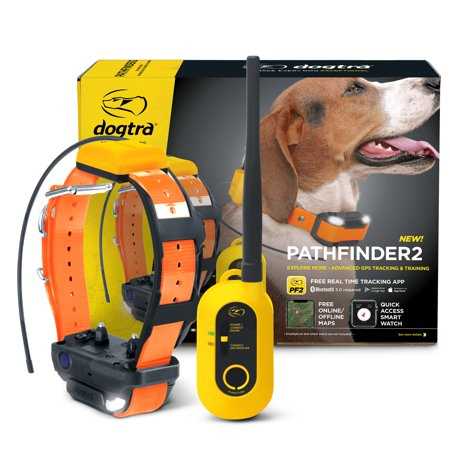 Black GPS Dog Training Collar System F954