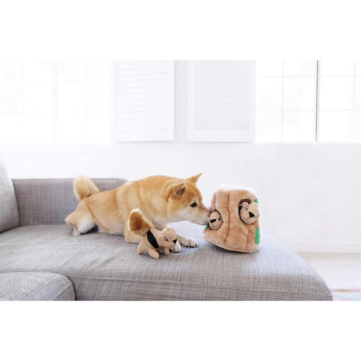 Hide A Squirrel Dog Toy K56165