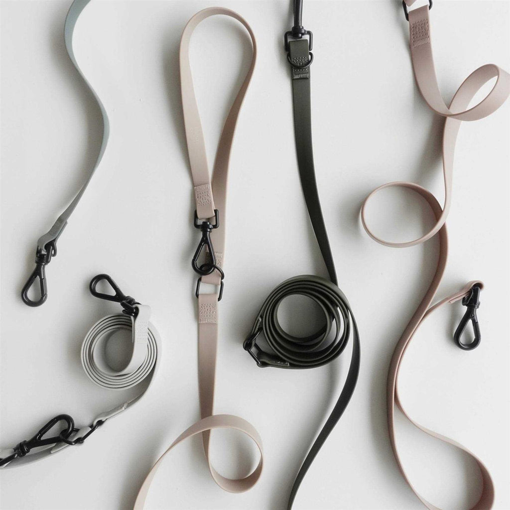 Hands Free Long Dog Leash L969