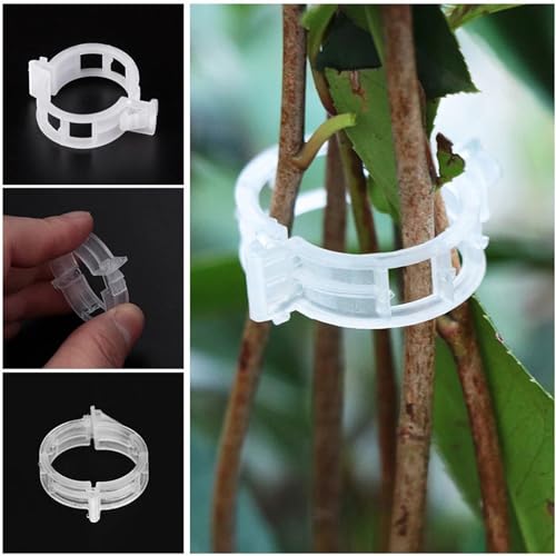 100Pcs Plant Support Clips M5086