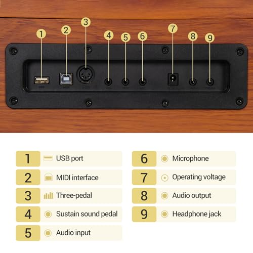 88 Key Weighted Hammer Action Digital Piano with Triple Pedal M170086