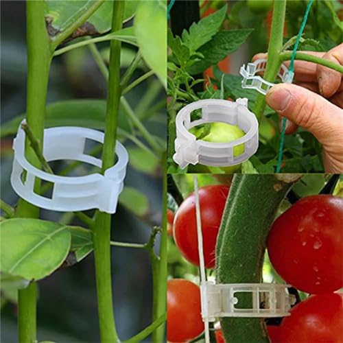 100Pcs Plant Support Clips M5086