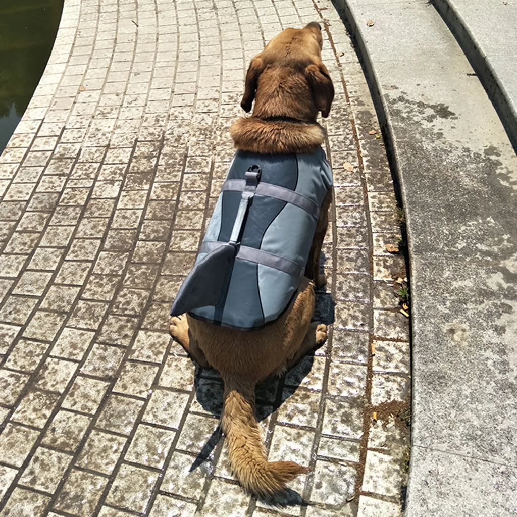 Dog Pet Shark Swimsuit Vest Safety Wear Y23088