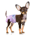 Disposable Female Dog Diapers with Adjustable Elastic Waistline W957032