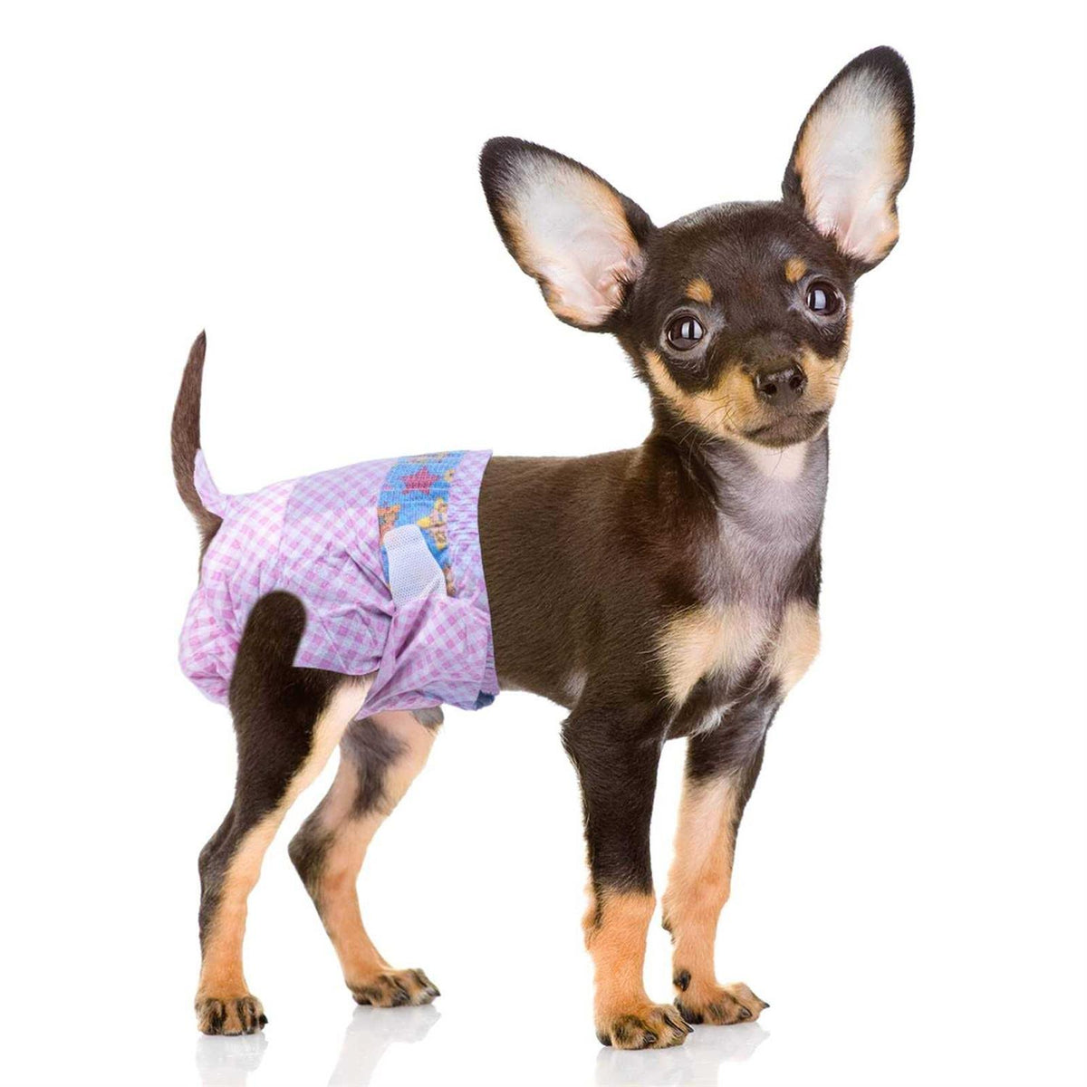 Disposable Female Dog Diapers with Adjustable Elastic Waistline W957032