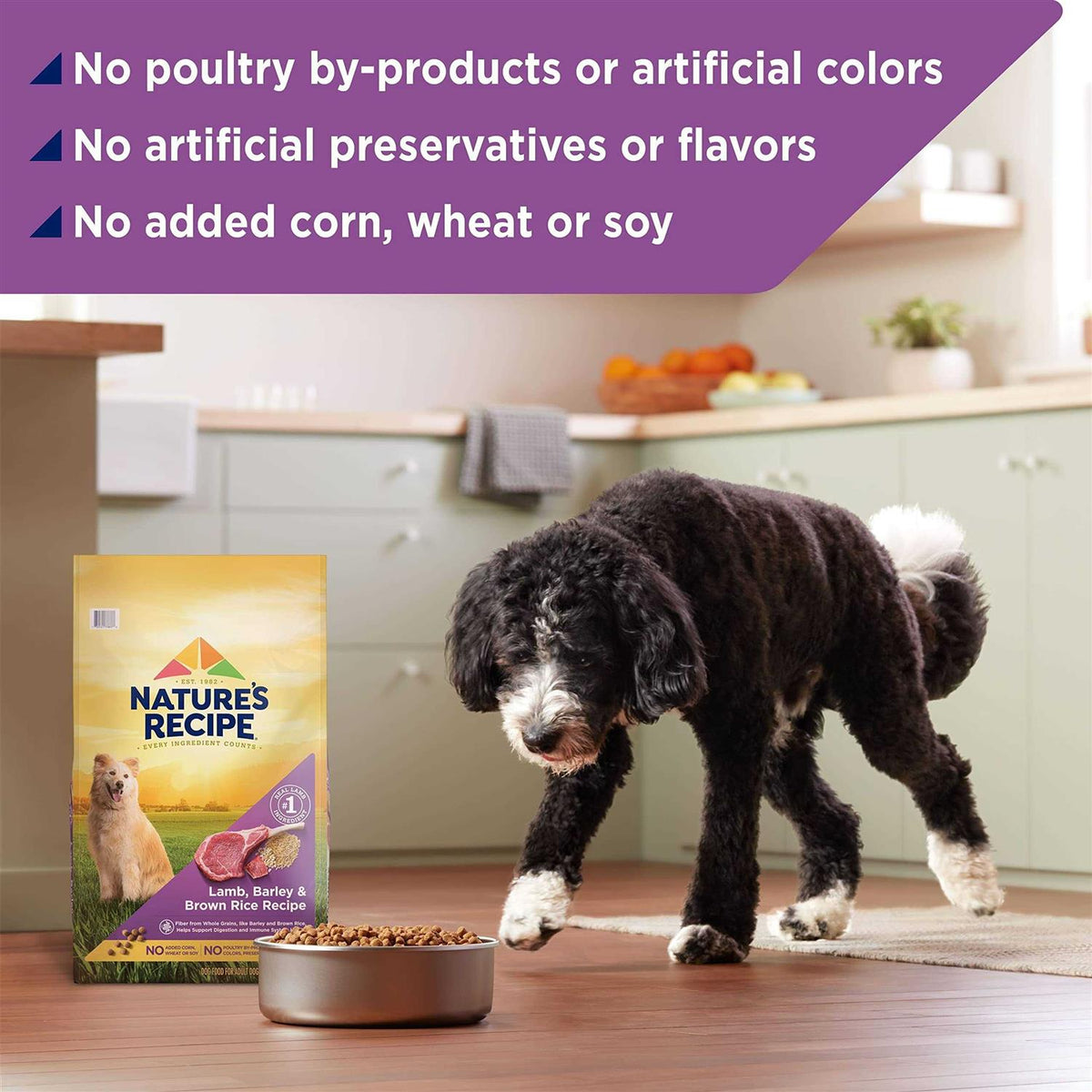 Adult Dry Dog Food A11075