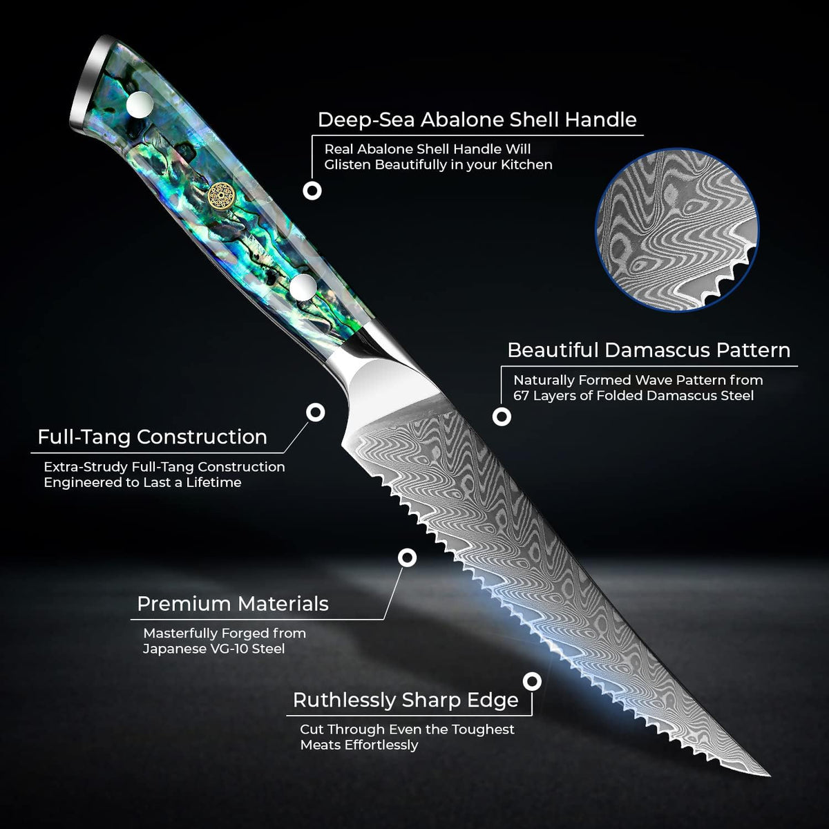 11-Piece Damascus Knife Block Set with Abalone Shell Handle Japanese VG10 Steel Chef Knife F316