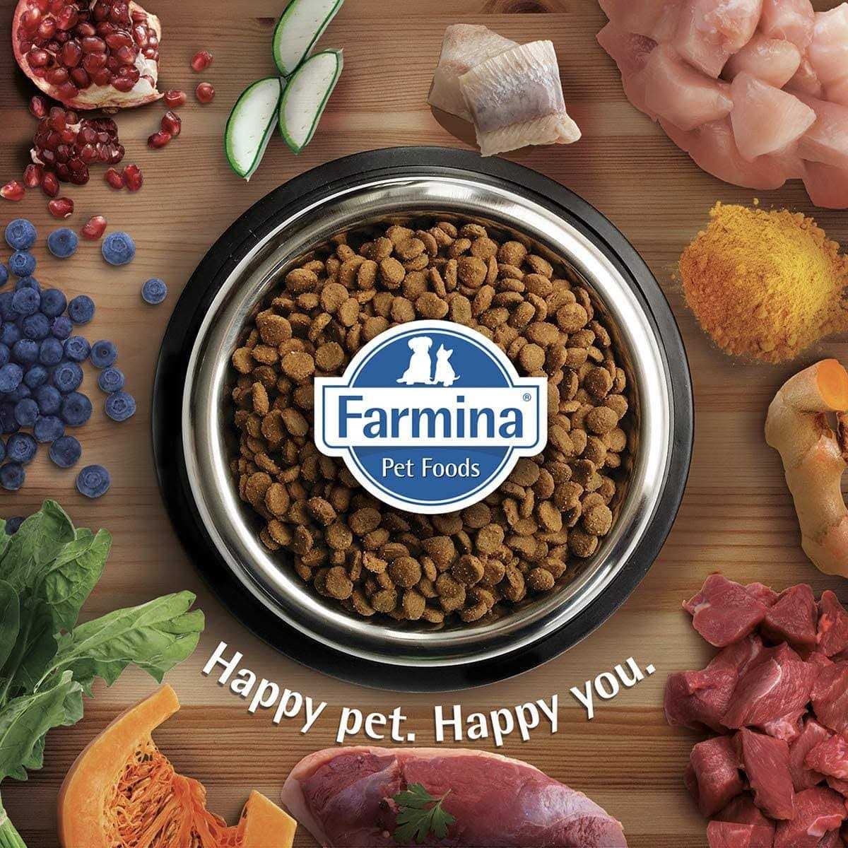 Adult Cat Food W24753