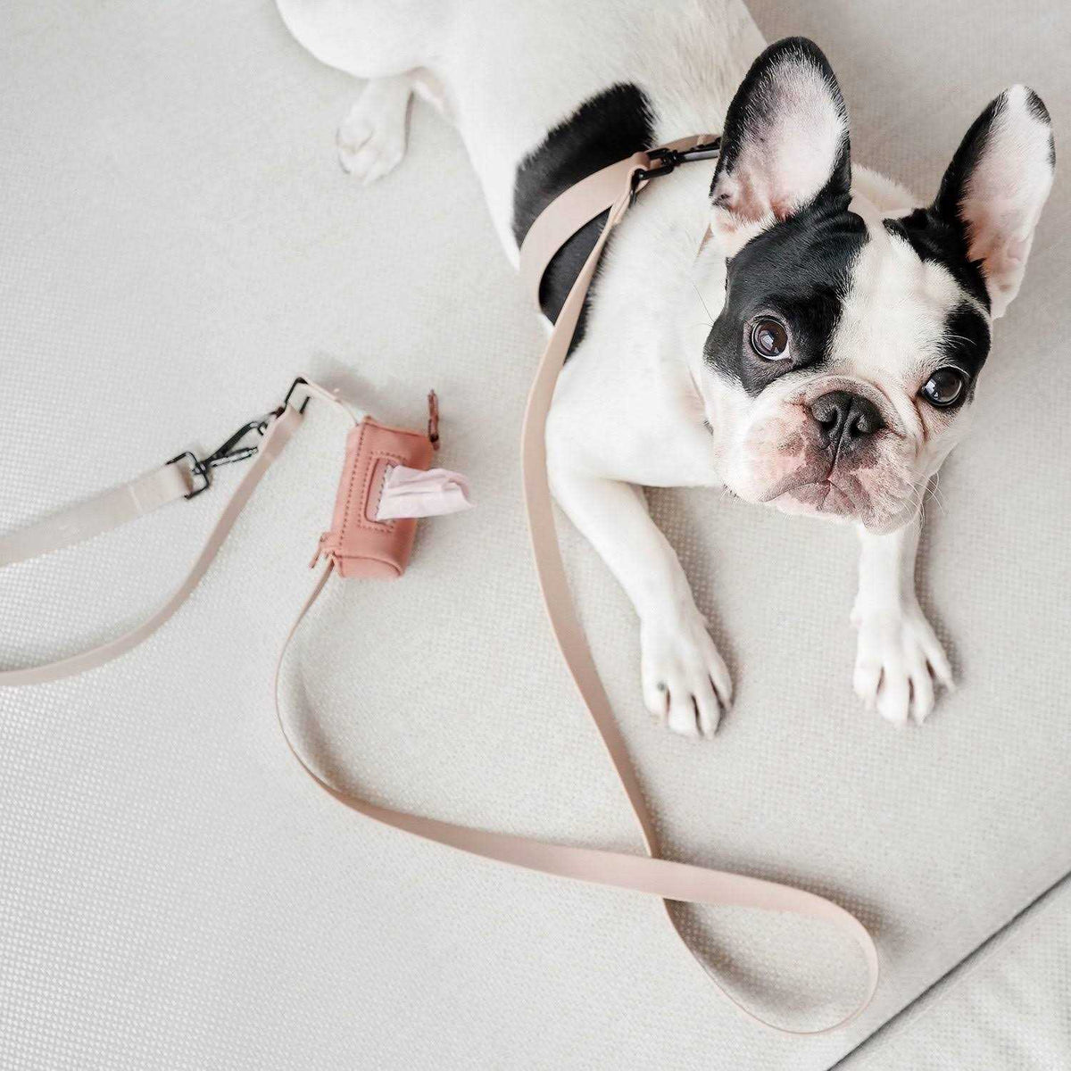 Hands Free Long Dog Leash L969