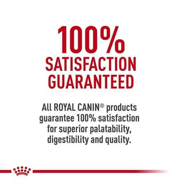 Adult Dry Cat Food D43188