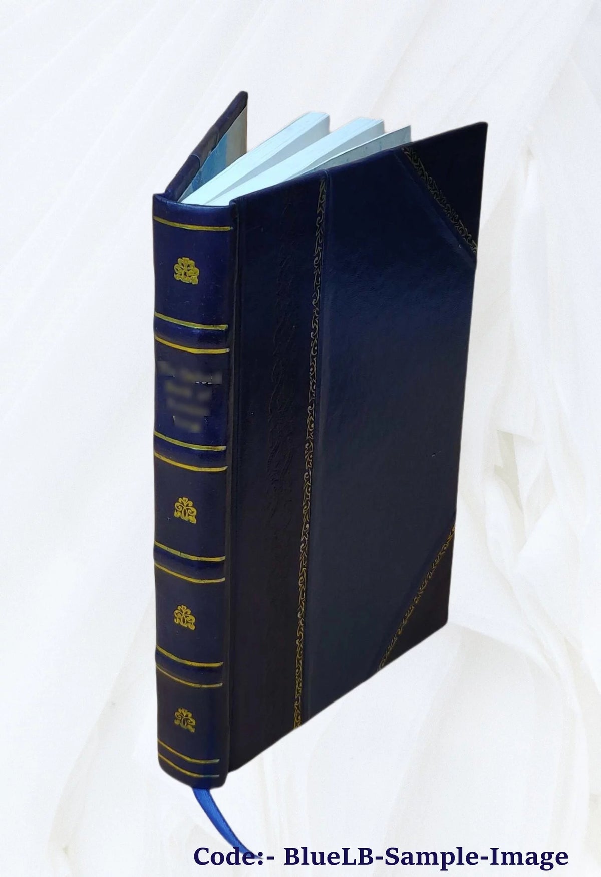 La famille vèrtueuse Volume 2 Leather Bound B206