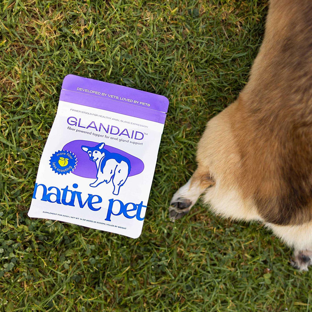 Anal Gland Supplement for Dogs R479121