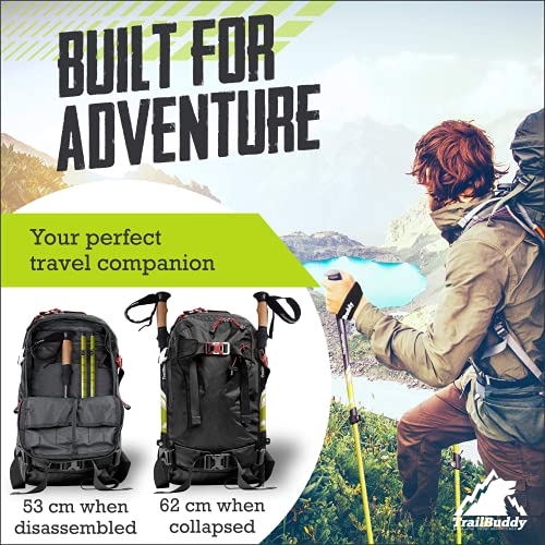 Pair of 2 Lightweight Collapsible Aluminum Trekking Poles with Cork Grip D811986