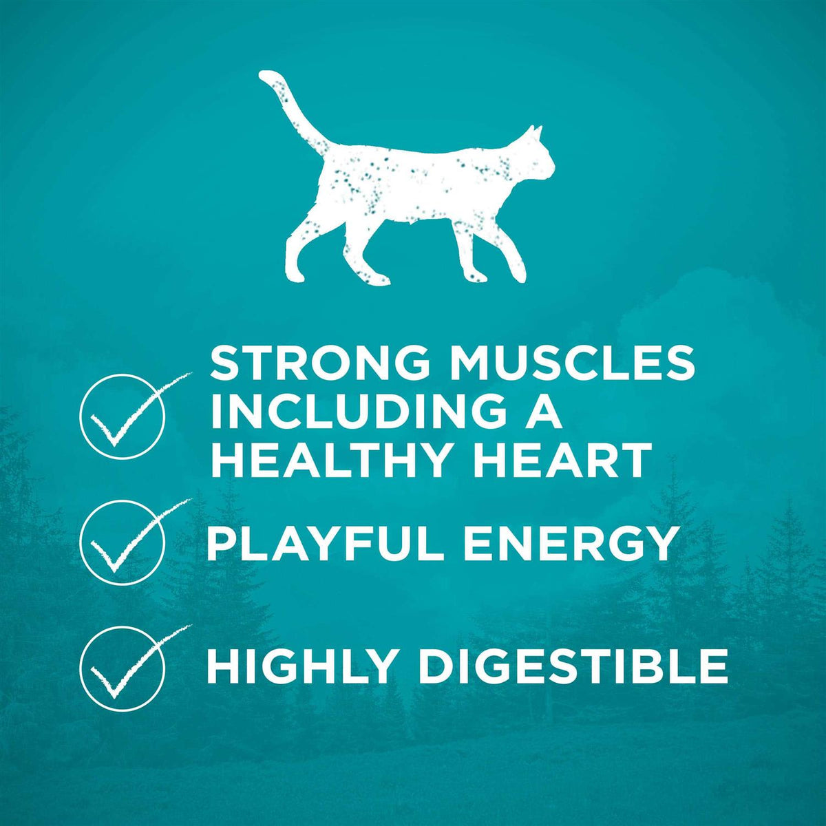High Protein Grain Free Dry Cat Food R565