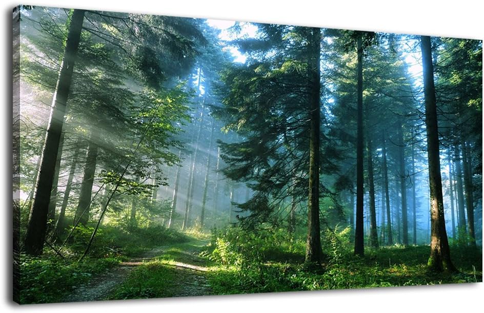 Large Size Canvas Wall Art of Grand Teton National Park T285