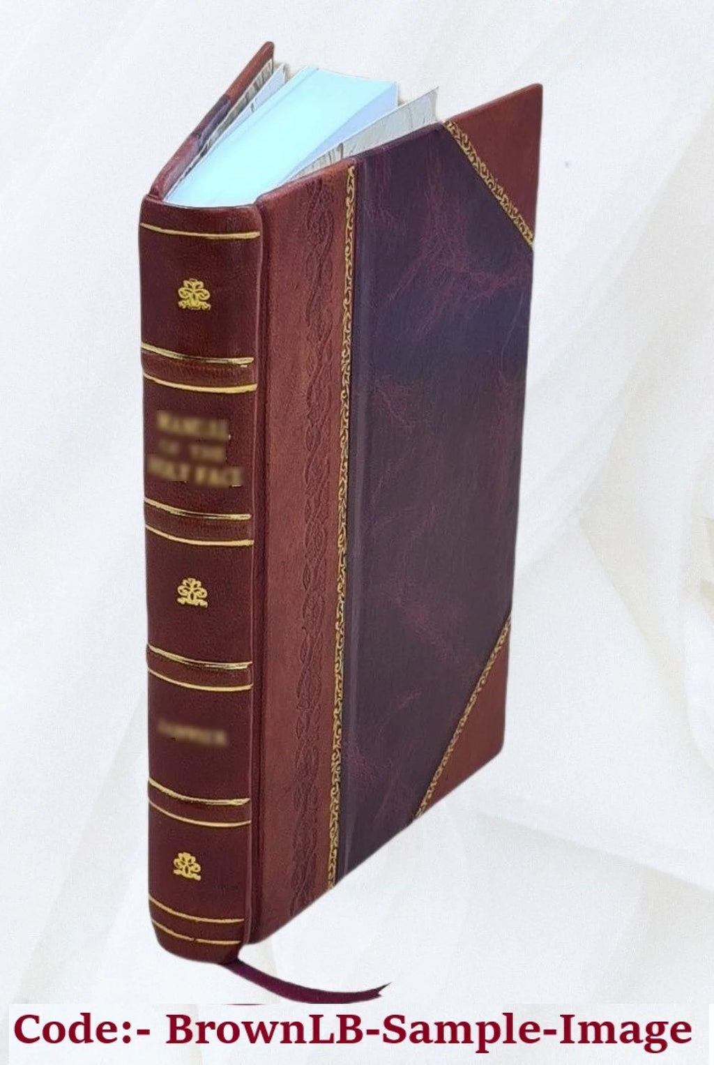Mémoires de Pierre de Fenin J672678