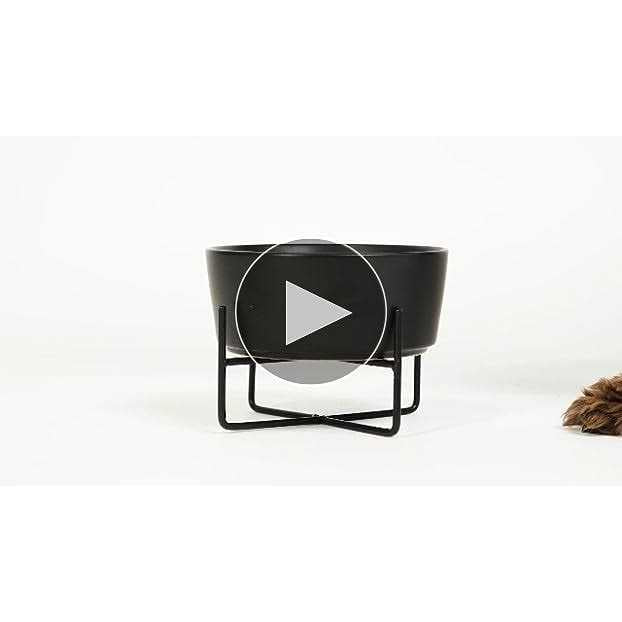 Solid Bowl + Dog Bowl Stand C445
