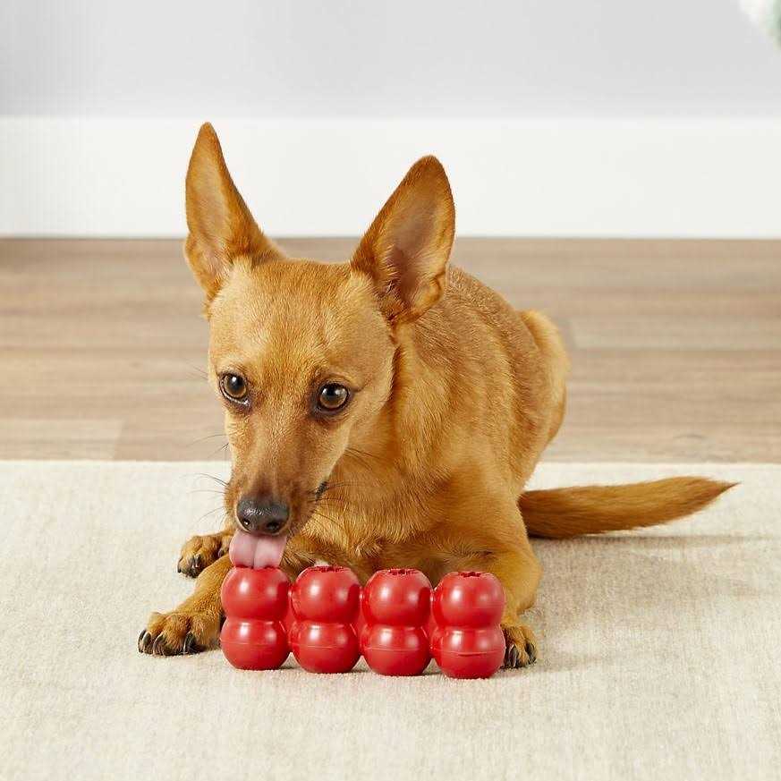 Ribbon Dog Toy H7446
