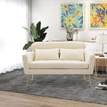 Mid Century Modern Chenille Two-Seater Sofa with 2 Throw Pillows Y40780