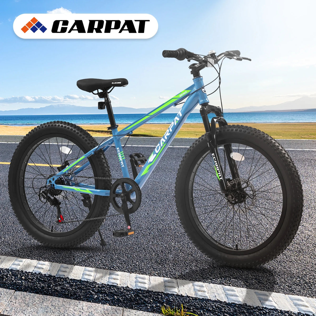 24 Inch 7 Speeds Fat Tire Mountain Bike U994