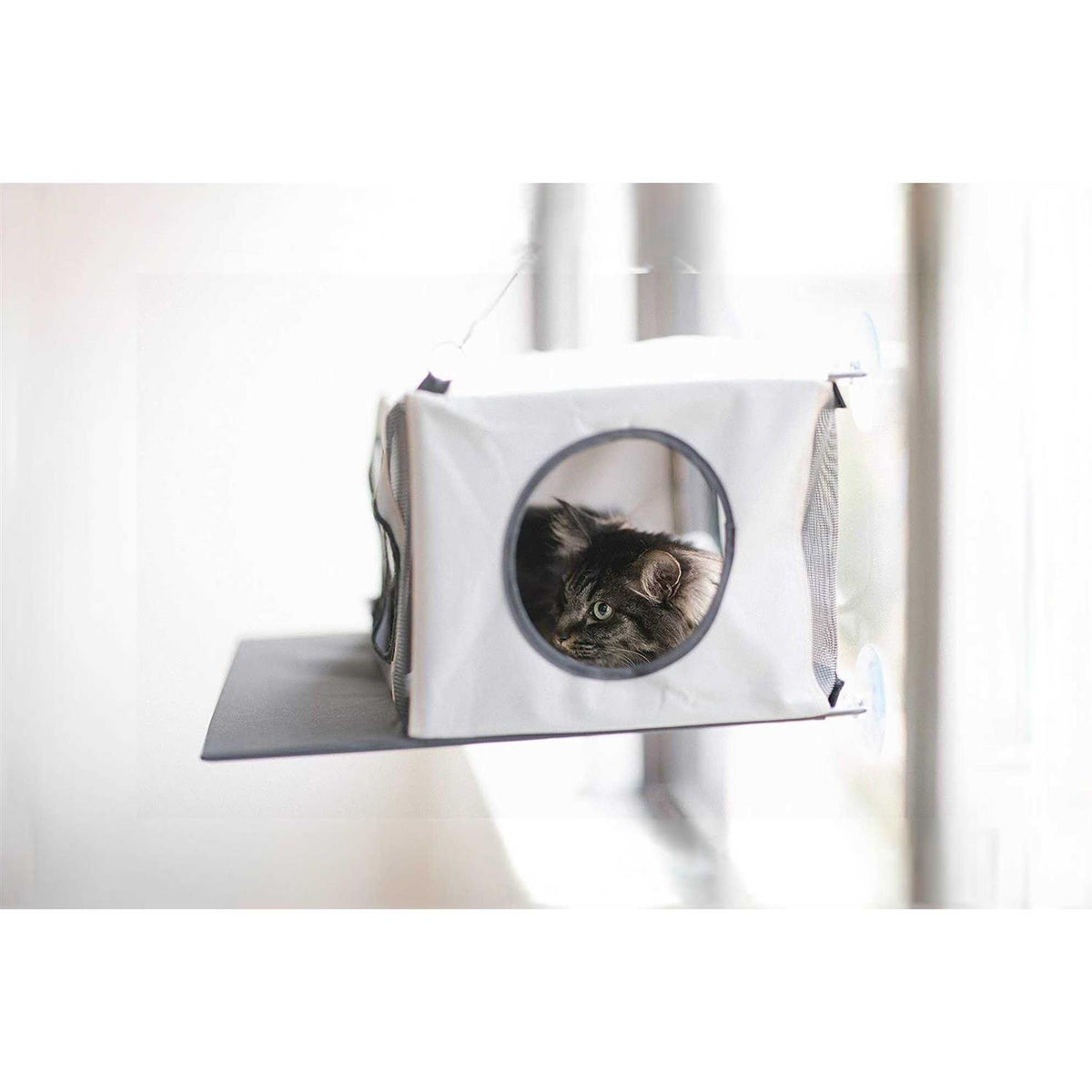 Cat Penthouse V6555