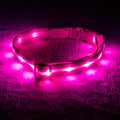 LED Light Up Dog Collar K331340
