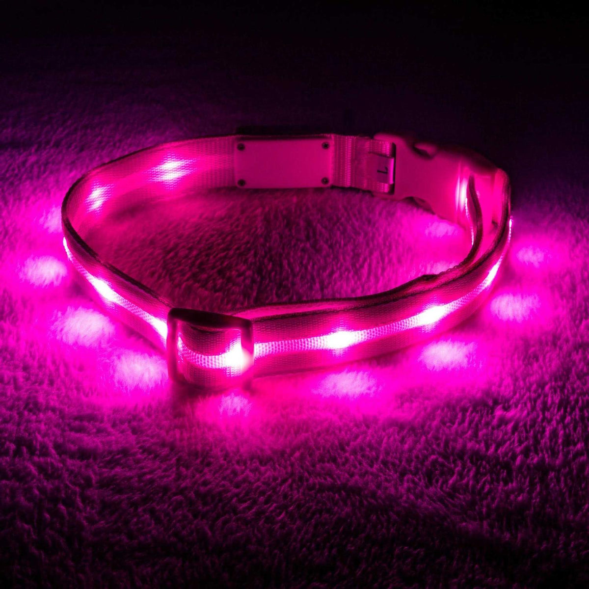 LED Light Up Dog Collar K331340