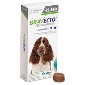 Chews 1000mg X678