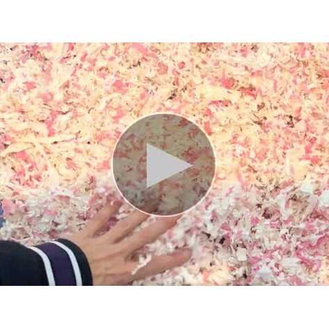 Natural Paper Bedding with Rose Petals X93565