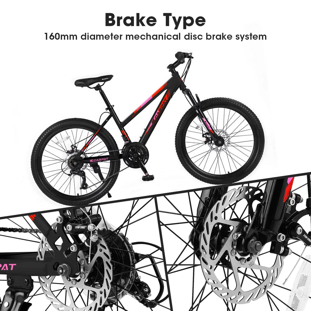 Pink 26 inch 21 Speed Dual Disc Brake Mountain Bike L476