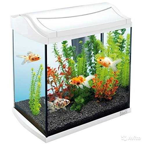 Aquarium Gravel T4635