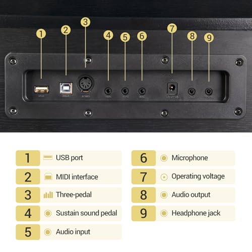 88 Key Weighted Hammer Action Digital Piano with Triple Pedal M170086