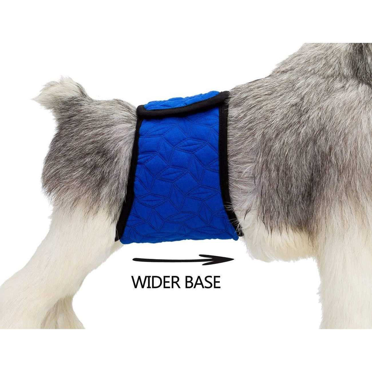 Washable Dog Diapers Male C55948