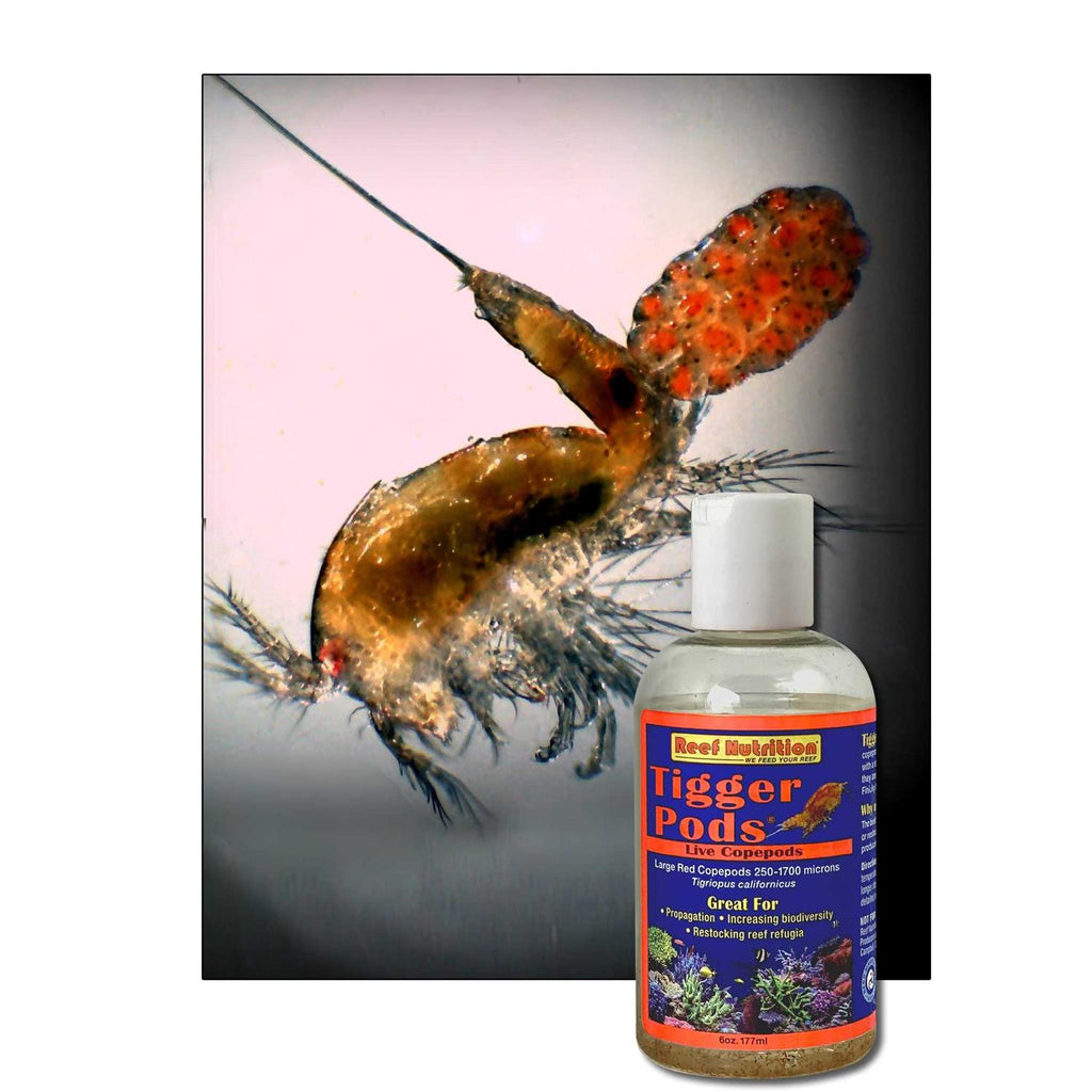 Pet Supplies R912