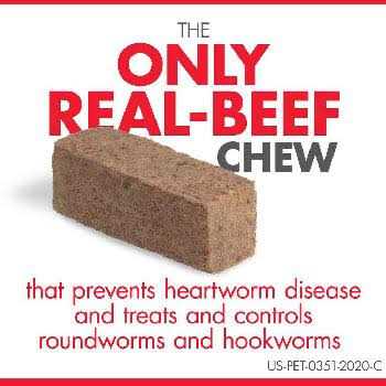 Heartgard Plus Chewables for Dogs A1951