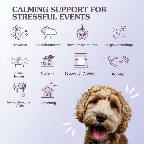 Calming Support for Dogs and Cats F8347