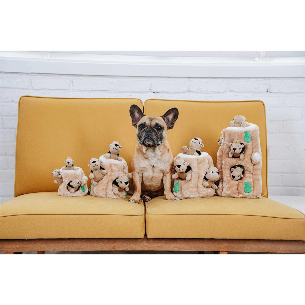 Hide A Squirrel Dog Toy K56165
