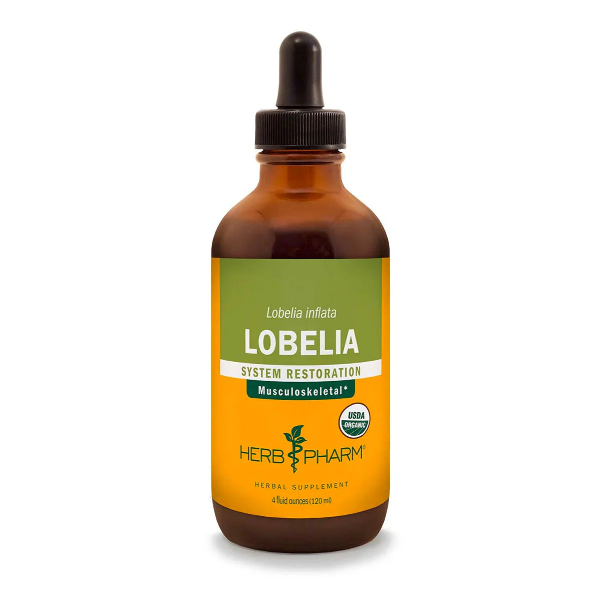 Lobelia F103