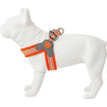 Dog Harness Z410