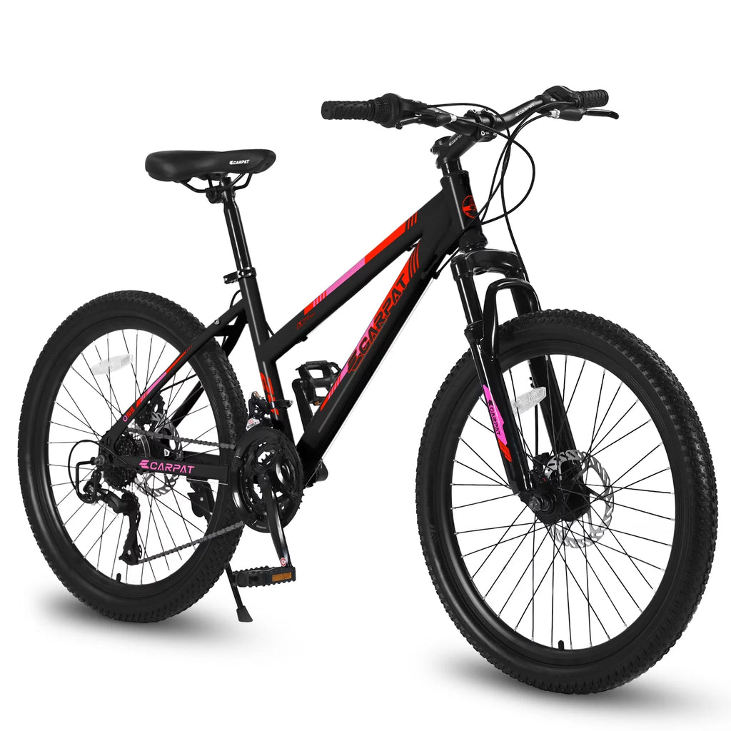 Pink 26 inch 21 Speed Dual Disc Brake Mountain Bike L476