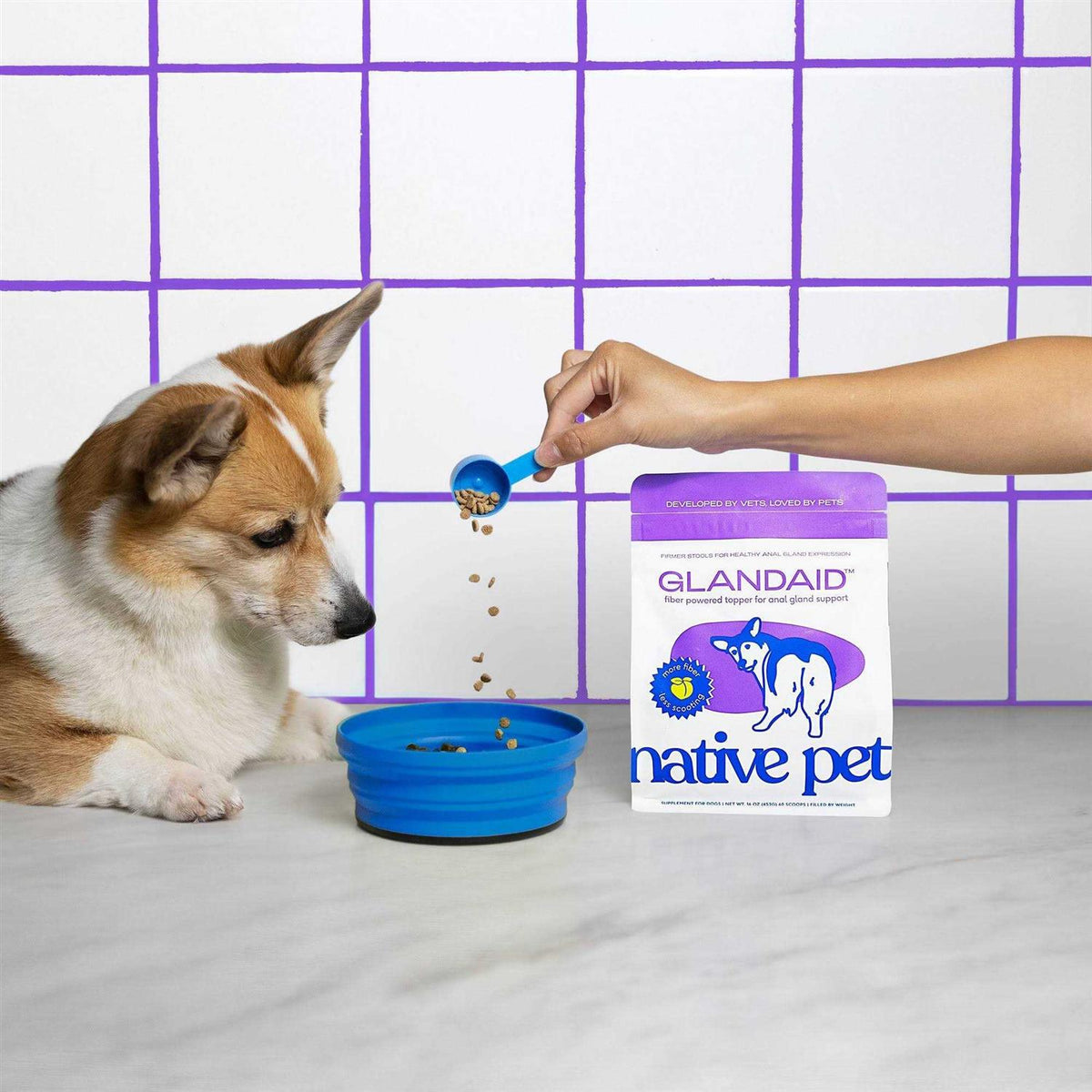 Anal Gland Supplement for Dogs R479121