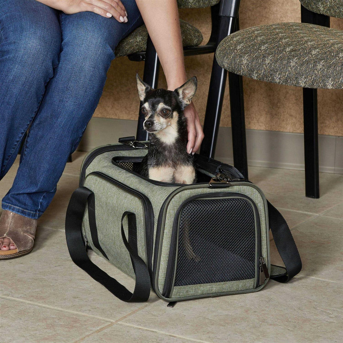 Pet Carrier U38554