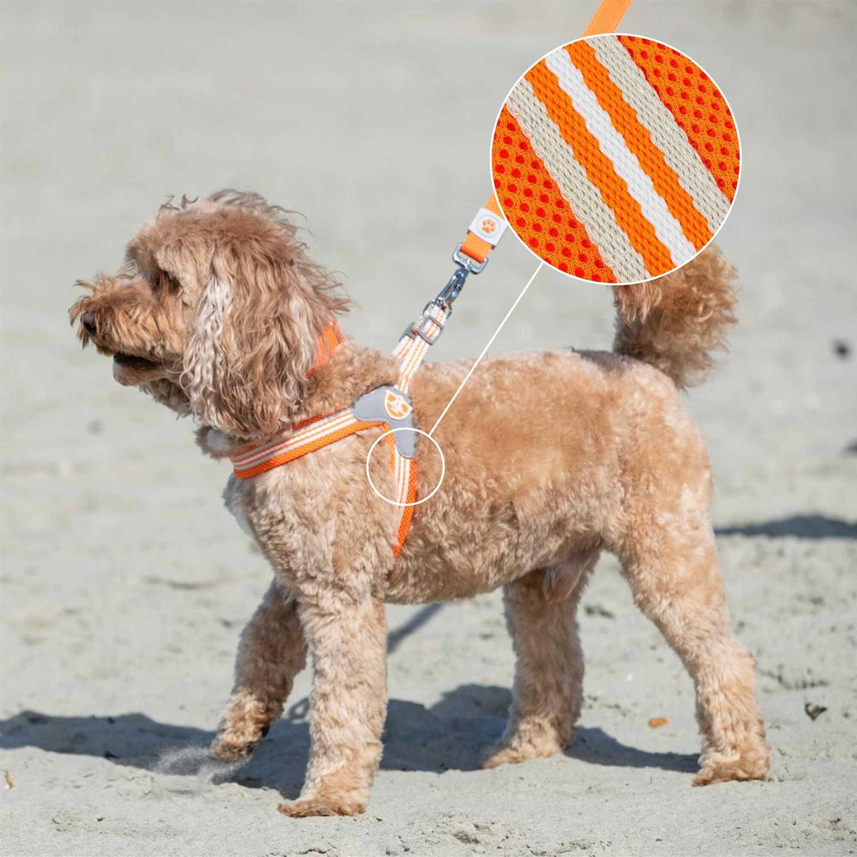 Dog Harness Z410