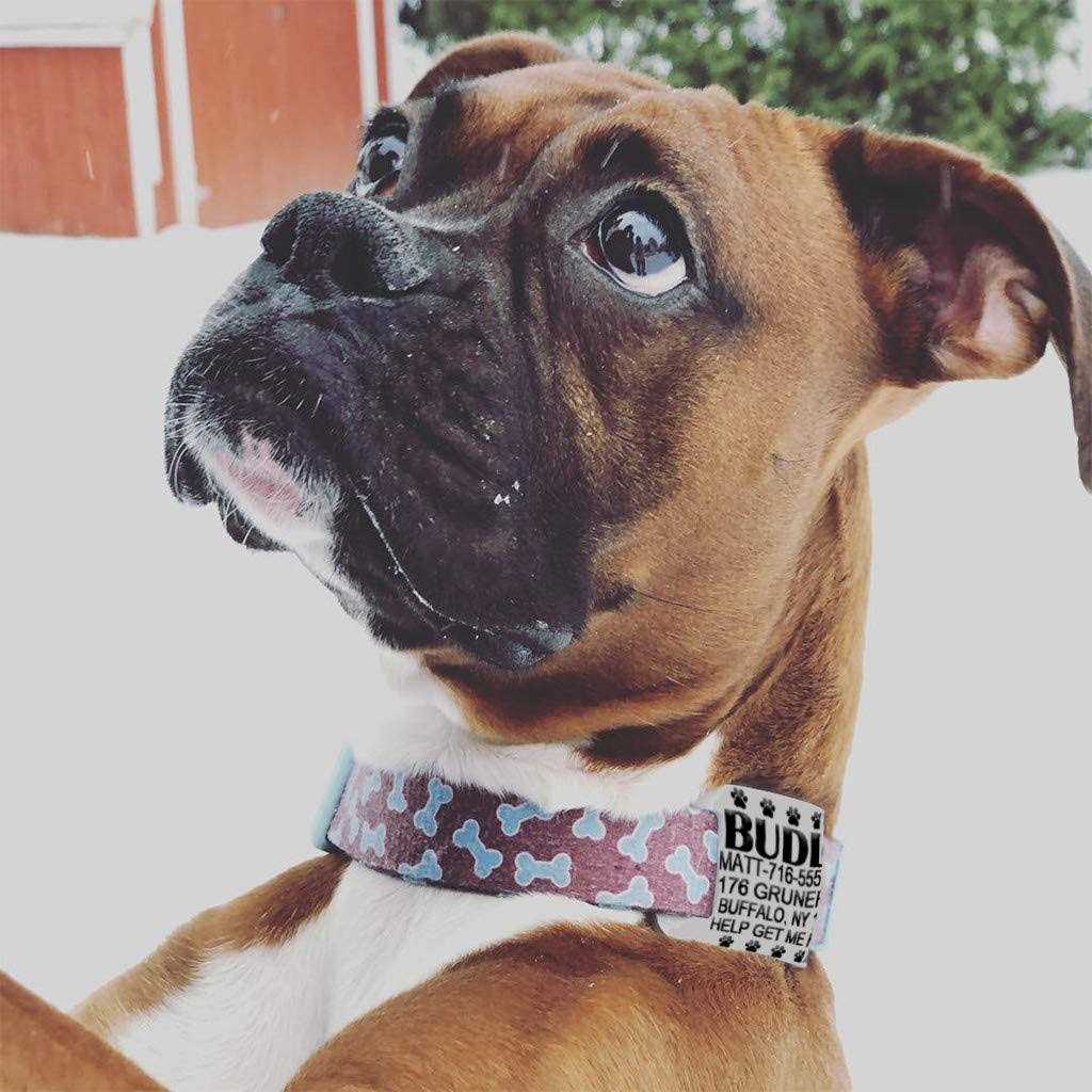Silent Slide On Silicone Rubber Dog Collar Tag P897
