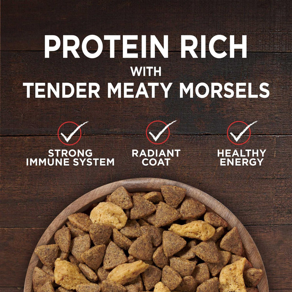 Grain Free Natural Dry Dog Food N925721