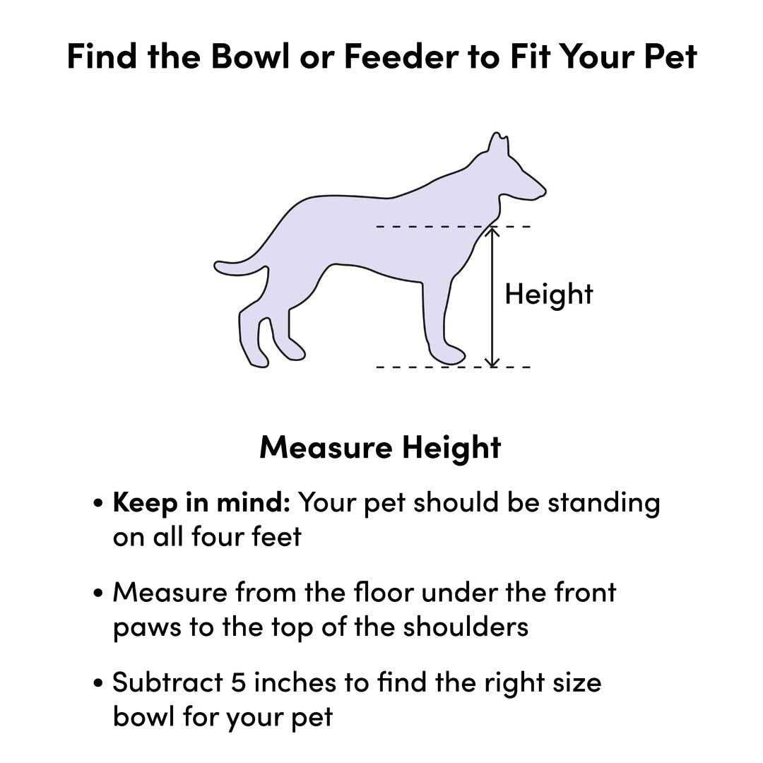 Programmable Pet Food Dispenser N186