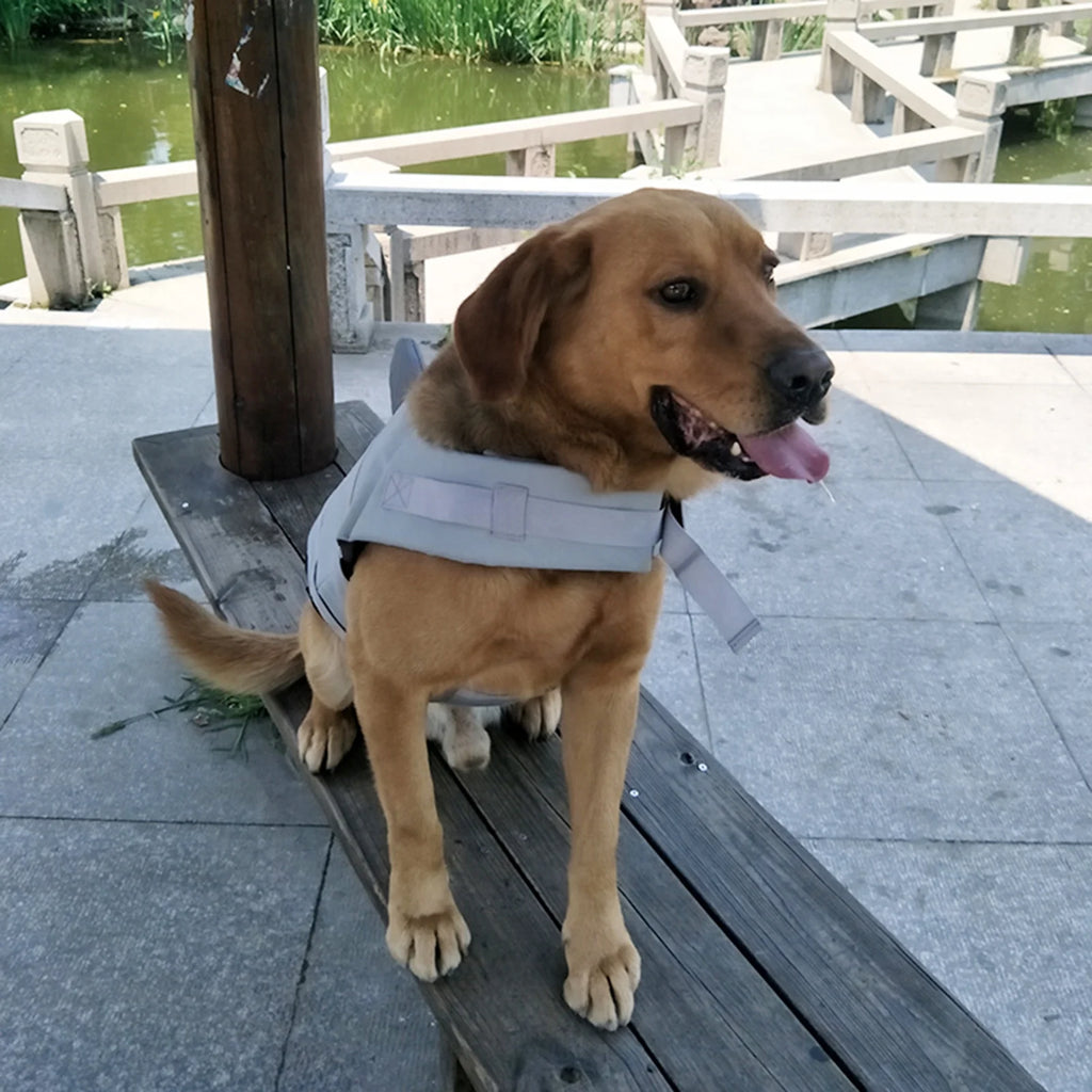 Dog Pet Shark Swimsuit Vest Safety Wear V5522